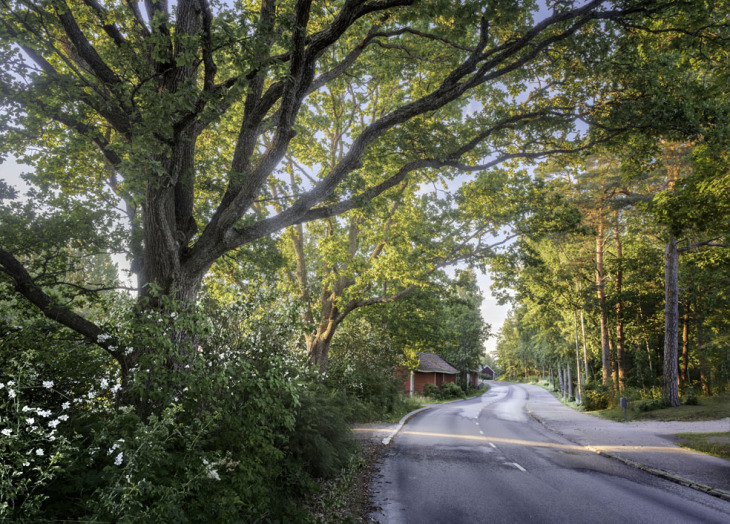 Taneli Eskola Ajan virrassa Taneli Eskola Ajan virrassa
