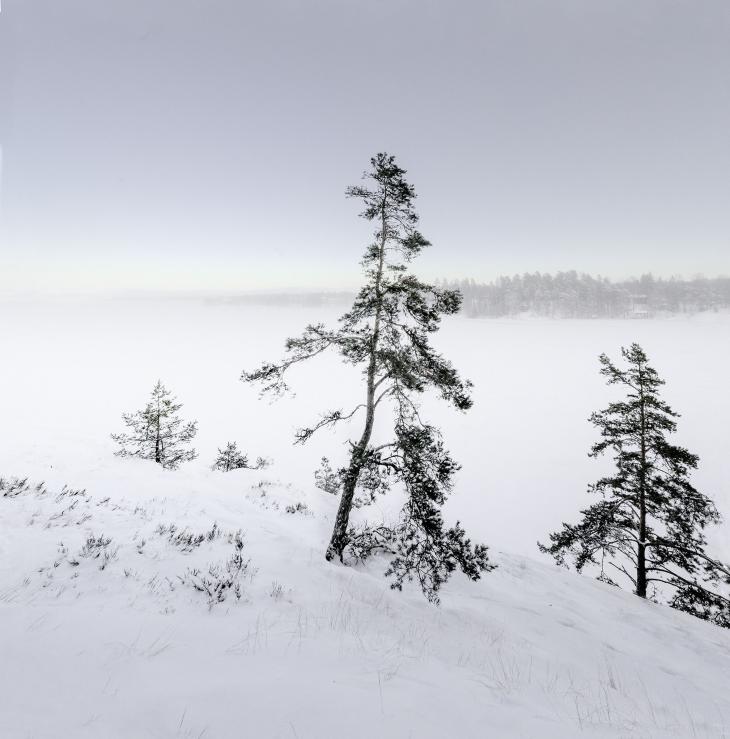 Taneli Eskola, Pakkanen Sarvikalliolla