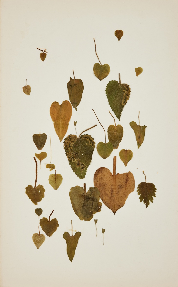 Terhi Heino Tykkäys 2024 kollaasi Terhi Heino Tykkäys 2024 kollaasi